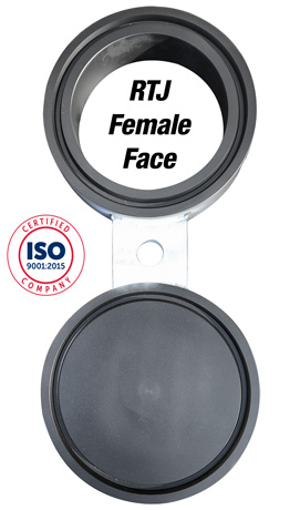 USA Industries Spectacle Blind 1500# with RTJ Female Oval Cut Gasket Type Hero Image