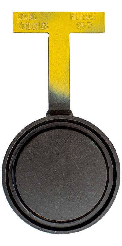 600#_3in_Carbon-Steel-Paddle-Blind-Female-RTJ