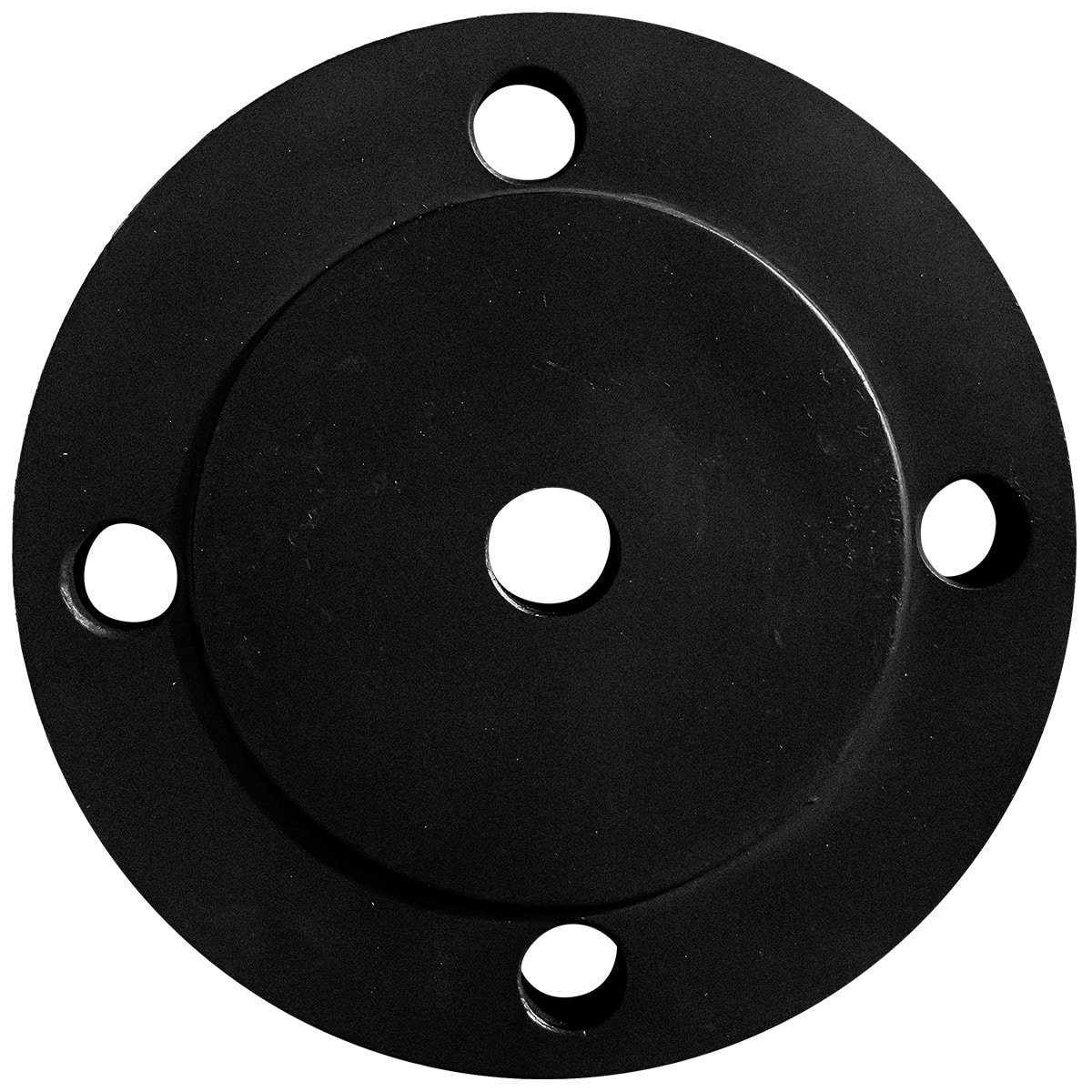 Carbon Steel with Port blind flange
